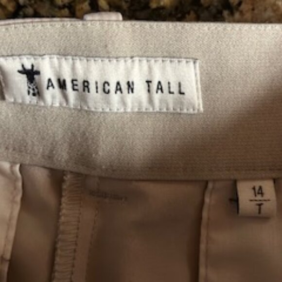 American Tall Brand Flat Front Dress Pants for Women in Stone Size 14 - Picture 2 of 4